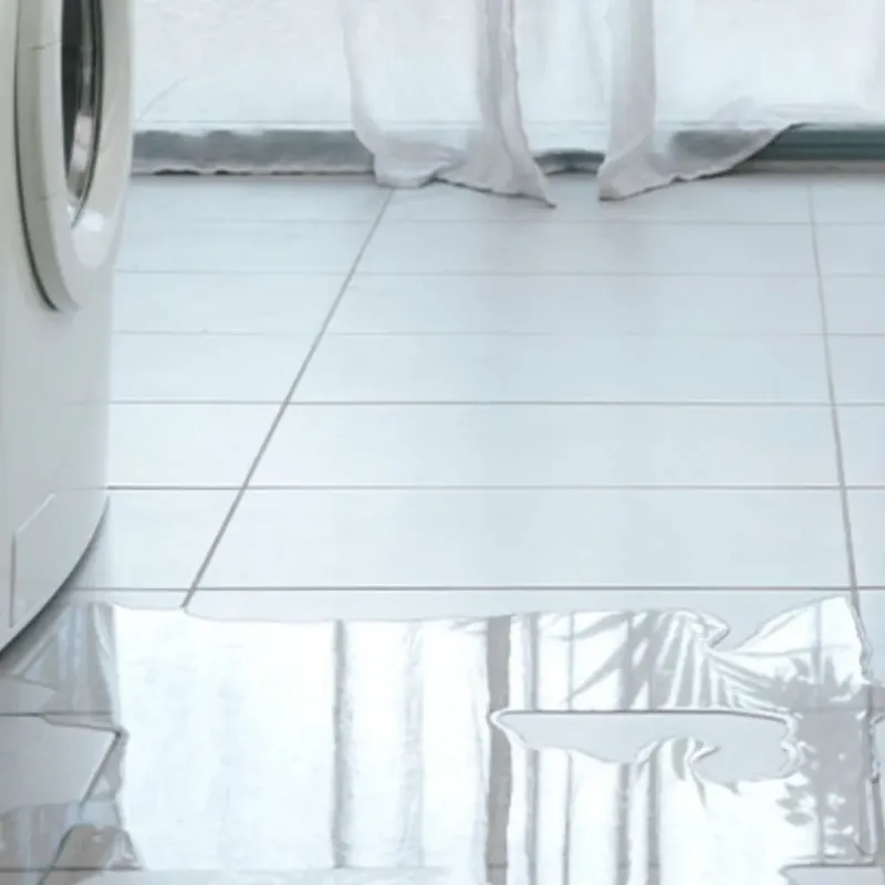 Appliance Leak Cleanup in Douglas County, MN